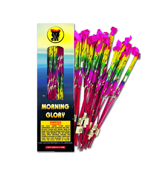 Morning-Glory-16-inch-15-24-6